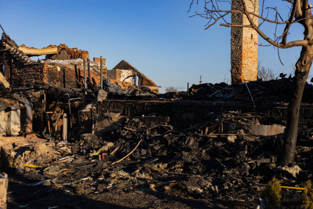 Reliable Content Restoration contractor in New Market, VA by Fire Damage Flint
